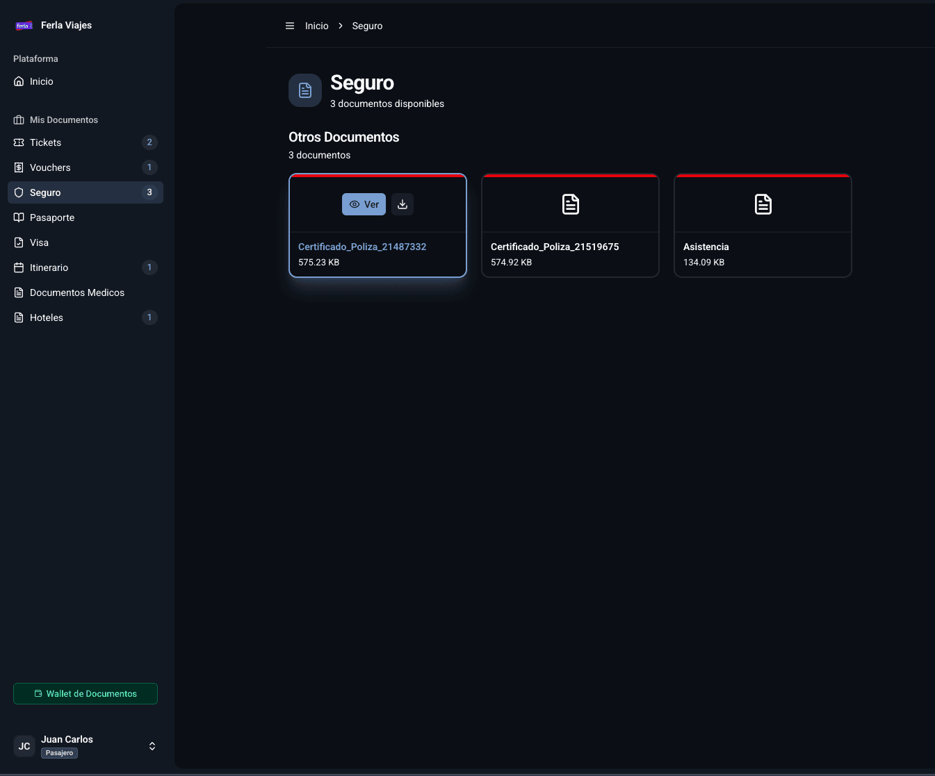 Gestor de Documentos - Vista de pasajero con documentos organizados